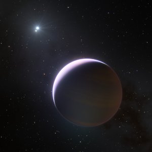 ESO telescope images planet around most massive star pair to date