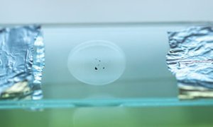 L'astéroïde Ryugu étudié à l'IPAG !