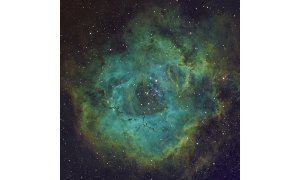 From Gas to Stars : The Links between Massive Star and Star Cluster Formation