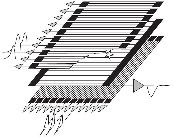 xray-multiwire-trumperFig43.jpg